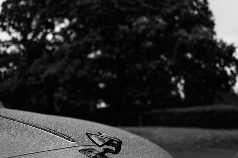 Bentley Flying Spur 6.0 W12 Speed